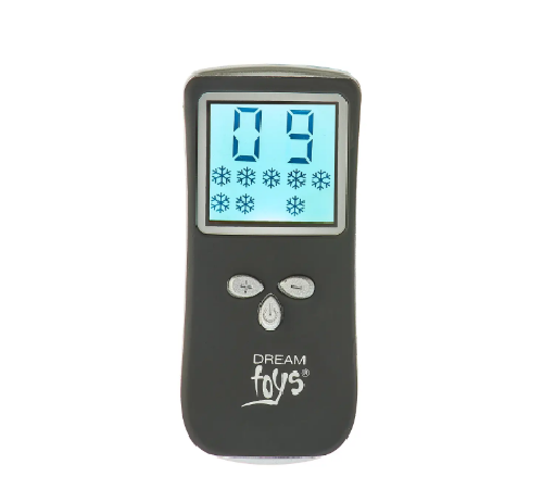 DT21840 Виброяйцо с пультом управления и дисплеем Dream Toys ALL TIME FAVORITES 10F REMOTE EGG DISPL