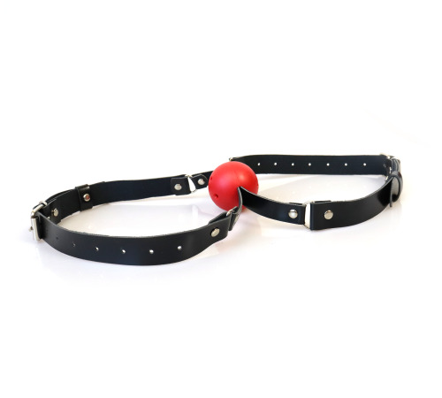 Двойной Кляп Twins с пластиковым шаром