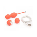Вагінальні Кульки з Вібрацією We-Vibe Bloom Kegel Balls