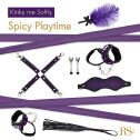 Подарунковий набір для BDSM RIANNE S — Kinky Me Softly Purple: 8 предметів для задоволення