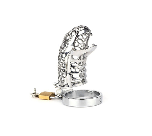 Пояс верности, металлический, Dragon, кольцо 44мм 