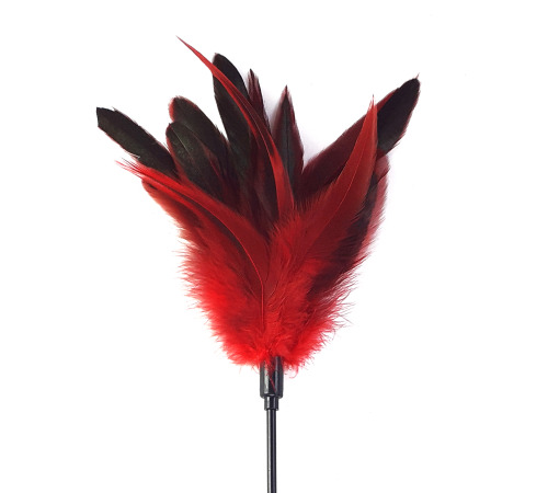 Лоскіт червоний Art of Sex - Feather Paddle, перо молодого півня
