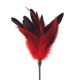 Лоскіт червоний Art of Sex - Feather Paddle, перо молодого півня