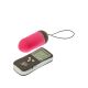 DT21840 Виброяйцо с пультом управления и дисплеем Dream Toys ALL TIME FAVORITES 10F REMOTE EGG DISPL