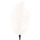 Щекоталка со страусиным пером длинная Art of Sex, Белый