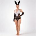 Сексуальный кружевной костюм Playboy