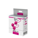 Вагинальные шарики PLEASURE BALLS & EGGS DUO BALL SET