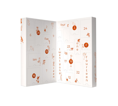Календарь секс-сюрпризов Adrien Lastic Advent Calendar 2022 CHRISTMAS DESIRES, 24 подарка