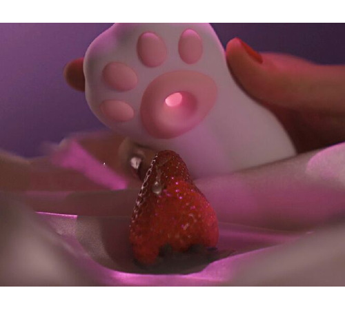 Вакуумный клиторальный стимулятор с вибрацией Otouch Cici Kity Plus