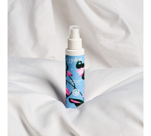 Антибактериальный спрей для игрушек Goliate Nettoyant Sextoy 100 мл, безопасный для тела