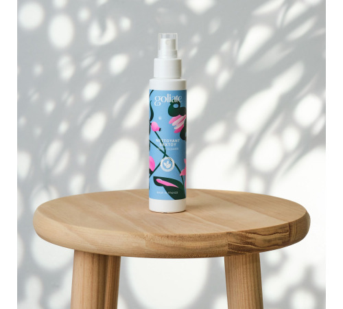 Антибактериальный спрей для игрушек Goliate Nettoyant Sextoy 100 мл, безопасный для тела