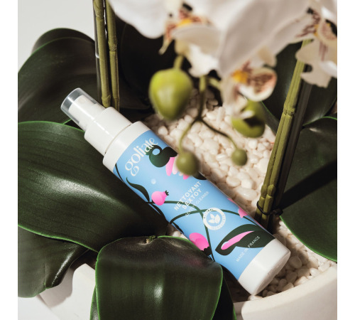 Антибактериальный спрей для игрушек Goliate Nettoyant Sextoy 100 мл, безопасный для тела