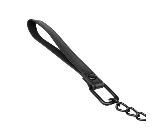 Ошейник с поводком Bedroom Fantasies: Faux Leather Collar & Chain