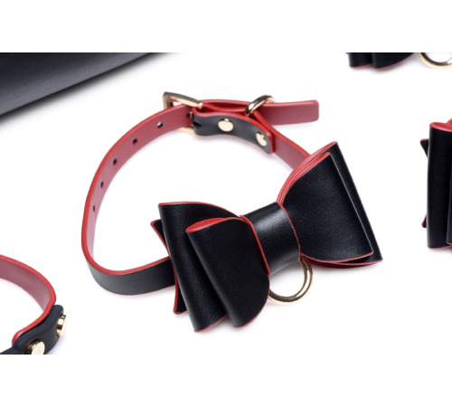 Набор БДСМ с дорожной сумкой Master Series: Bow — Luxury BDSM Set With Travel Bag, 11 предметов