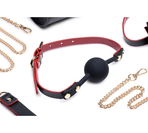 Набор БДСМ с дорожной сумкой Master Series: Bow — Luxury BDSM Set With Travel Bag, 11 предметов