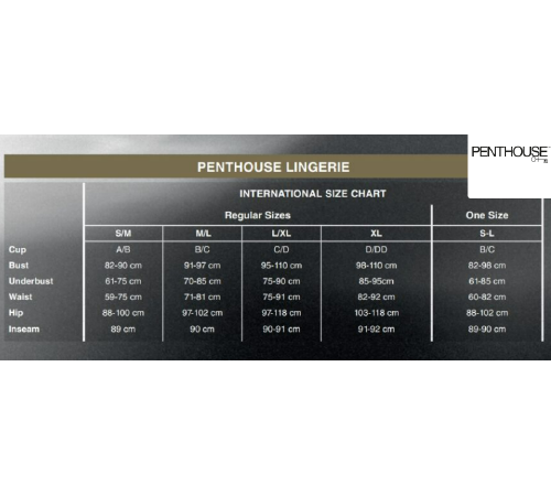 Бодістокінг у велику сітку Penthouse - Body Search Black S/L