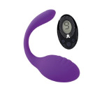 Виброяйцо со стимулятором клитора Adrien Lastic Smart Dream II с пультом LRS, можно под одежду