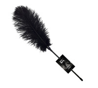 Лоскіт зі страусиним пером довга, Чорний