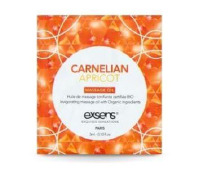 Пробник масажної олії EXSENS Carnelian Apricot 3мл