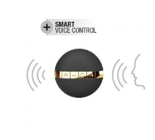 Віброяйце Dorcel Secret Delight Gold з пультом ДК, з турборежимом і голосовим керуванням