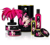 Подарунковий набір Shunga Romance Cosmetic Kit