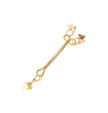 Зажим для клитора Art of Sex - Clit Clamp Butterfly, золото