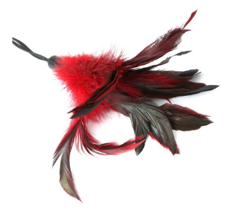 Мітелочкою Sportsheets - PLEASURE FEATHER RED