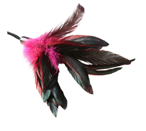 Мітелочкою Sportsheets - PLEASURE FEATHER ROSE