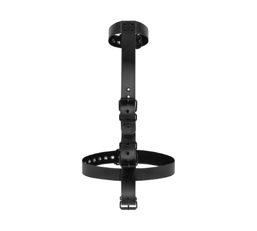 Фиксатор для рук и шеи Bedroom Fantasies: Seductive Straps Body Restraint Set