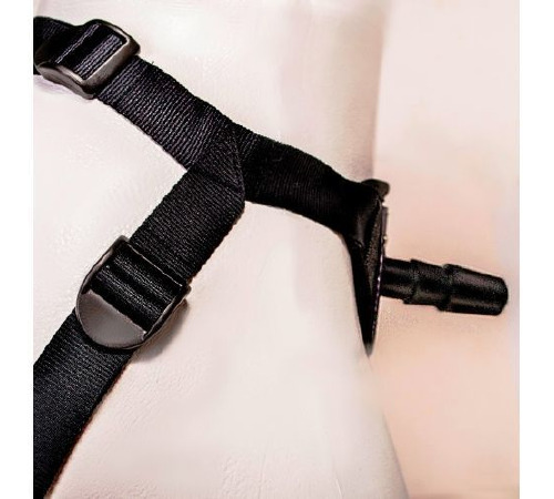 Трусики-харнесс EGZO