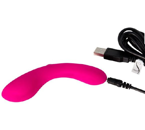 Мінівібратор The Mini Swan Wand, два вібромотора, для вагінально-кліторальний стимуляції