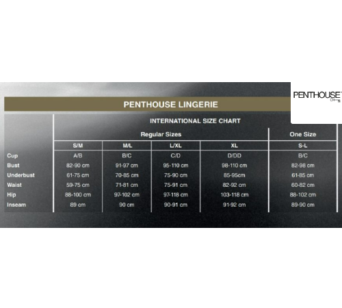 Бодистокинг с длинными рукавами Penthouse - Dreamy Diva Black XL