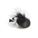 Пестіс Bijoux Indiscrets Burlesque pasties FEATHER