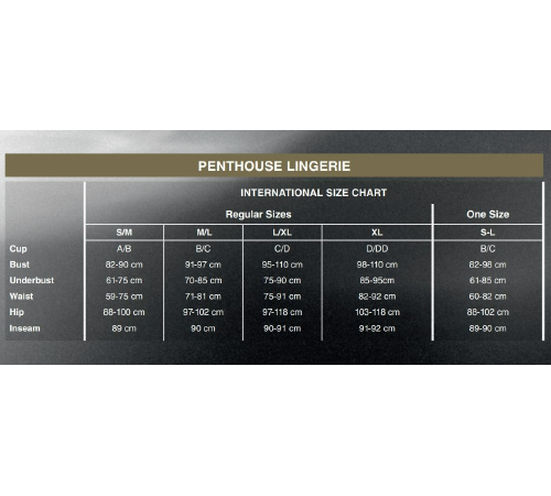 Бодистокинг с топом и чулками на подвязках Penthouse - Sex Dealer Black XL