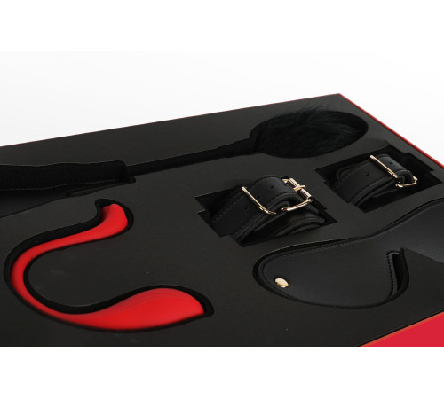 Набір Svakom BDSM GIFT BOX Limited Edition Unlimited Pleasure