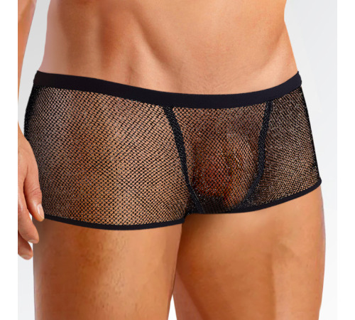 Мужские прозрачные трусики из сетки Демиан