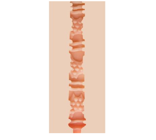 Мастурбатор попка Fleshjack Boys: Trenton Ducati Titanium