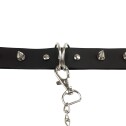 Ошейник с шипами и поводком Art of Sex - Collar Spikes and Leash