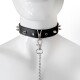 Ошейник с шипами и поводком Art of Sex - Collar Spikes and Leash