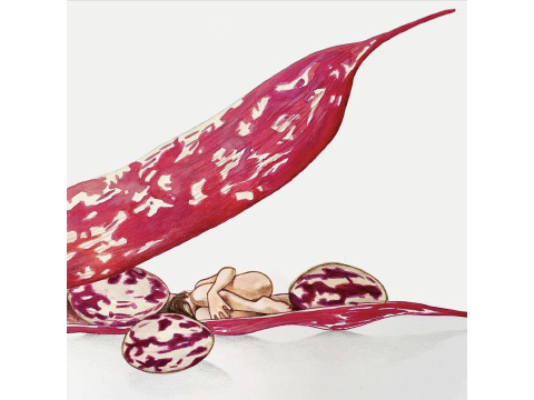 Интимные иллюстрации итальянской художницы 