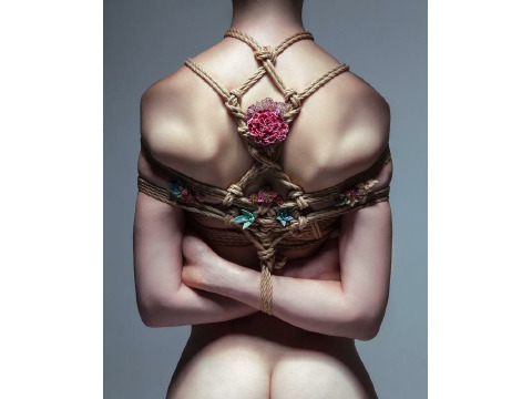 Правила связывания – Бондаж, Шибари